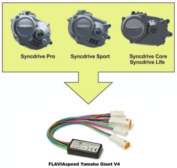 Giant syncdrive life hotsell